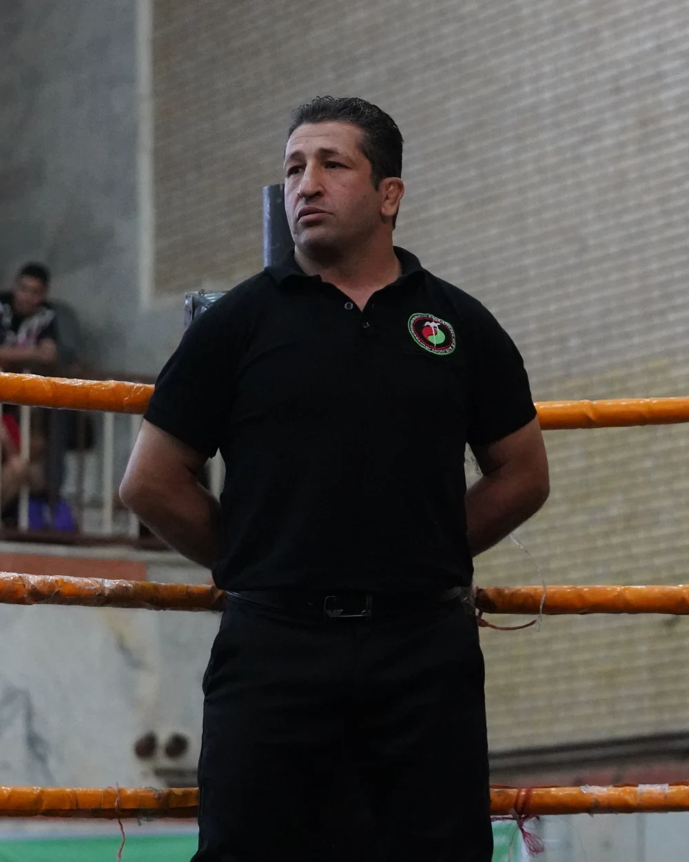مرتضی رجبی